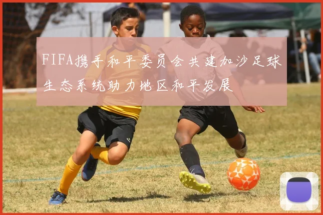 FIFA携手和平委员会共建加沙足球生态系统助力地区和平发展